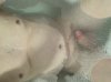 14ABAC31-B6A9-4C3C-860D-A4546A44FA28.jpeg