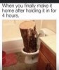 ADD14609-FCF9-42B0-89B7-518FC1815614.jpeg