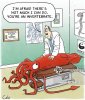 medical-squid-chiropractor-spine-massage-invertebrates-tcln12_low.jpg