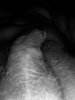 199C79C9-60A9-4F9A-AA74-D97BA8FEEDC7.jpeg