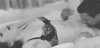 h49.gif