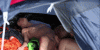 20087825.gif
