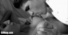 5c9348b3945c2578494debc0a99bf4f762d0fd9e.gif