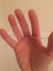 02944519-0D49-4301-86D4-4F87037BF45D.jpeg