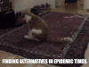 ADF3A9DB-A051-4AEB-93A6-3CEE64013713.gif