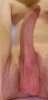 thumbnail_20200328_205733.jpg