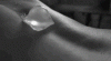 E1927481-D08F-4C6A-91E9-EB3E9430D385.gif