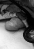 66E47383-23DC-44DD-A667-8B07F89A517D.jpeg