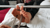 DisfiguredDazzlingAmurratsnake-small.gif