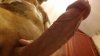pic_1_thumbl.jpg