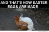 easter-meme.jpg