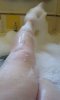 IMG_20200415_181957.jpg