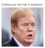 FB_IMG_1587040697852.jpg