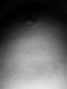 956DB730-013C-4434-9C5E-CAE55FB3EEF4.jpeg