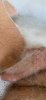 22E1989C-DAD1-4CE6-B961-936CC37699C3.jpeg