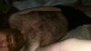 IMG-20161218-WA0001.jpg