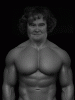 Boyley.gif