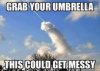 AE069D7D-7C6B-4BBC-BC3A-027F1DAA5284.jpeg