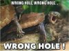 B8770A63-C44D-4C47-9F78-2E06EA130BA9.jpeg
