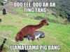 F006B8CF-822E-4816-8195-480ABFE48149.jpeg