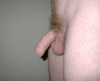 Animated-gifs-of-growing-cocks-5.gif