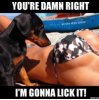 thumb_youre-damn-right-funny-sexy-stuff-itm-gonna-lickit-6643713.png