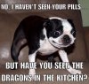 2e7ad12dff9f9bfa7b58c4558274f8a5.jpg