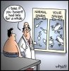 Funny-Jokes-For-Adults-1.jpg