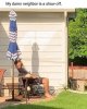 FB_IMG_1589445911733.jpg