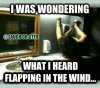 E39C180C-8C7D-49F4-BE7B-CAE7F9A71654.jpeg