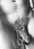 3FC1F68F-C4B8-474B-B3B7-1D918EA1CDF4.jpeg