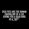 FB_IMG_1542419007045.jpg