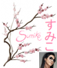 sakura signature.png sakura signature.png