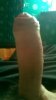 WP_20190313_001.jpg WP_20190313_001.jpg