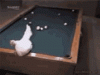 tenor (1).gif tenor (1).gif