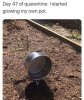 FB_IMG_1591363721958.jpg
