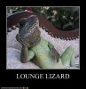 lounge-lizard.jpeg