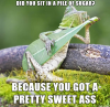 sleazy-lounge-lizard-pick-up-lines-160752.png