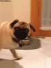 aXyNwq7.gif