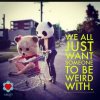 beweirdpandas.jpg
