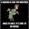 68314c8df8555f27700a5fba2392057a.jpg