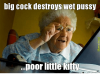 big-cock-destroys-wet-pussy-poor-little-kitty-getieratoe-memedroid-51009853-1.png