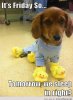 When-its-Friday....jpg