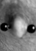 20200615_225945.jpg