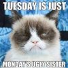 341bbdfe3760bf8a85b89a0c191cfd6a--tuesday-meme-wednesday.jpg