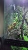 Snapchat-1073234685.jpg