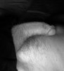 6B79602B-FF88-4285-80AC-EEA6AADC02DC.jpeg