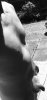 9ACF12B1-2D18-457E-9921-9BE79956850C.jpeg