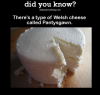 Dyk+comp+69_b6038a_5306220.png