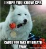 i-hope-you-know-cpr-cause-you-take-my-breath-away.jpg